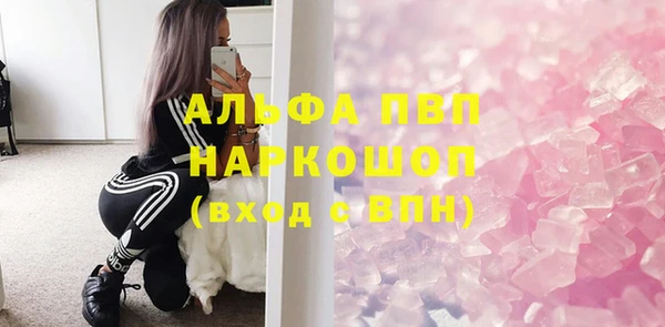 гидра Богородск