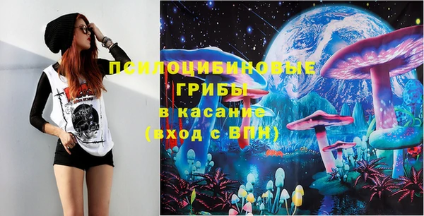 гашик Богородицк