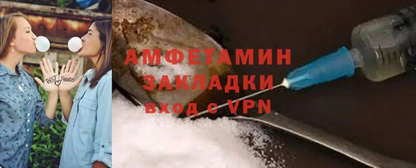 гидра Богородск