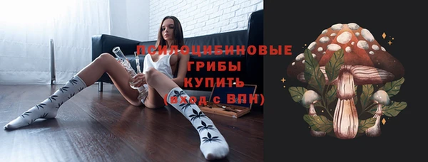 гашик Богородицк