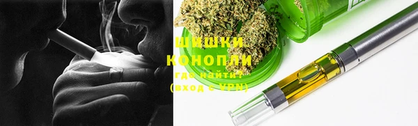 гидра Богородск
