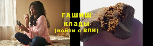 гидра Богородск