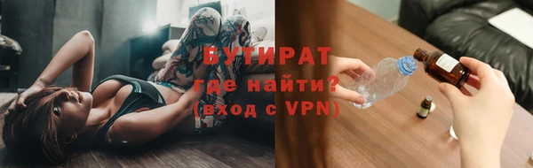 гидра Богородск