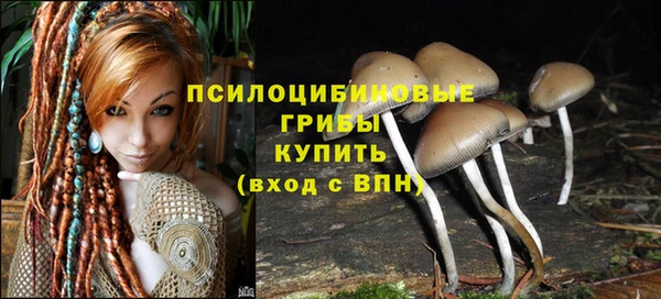 гидра Богородск