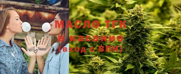 гидра Богородск
