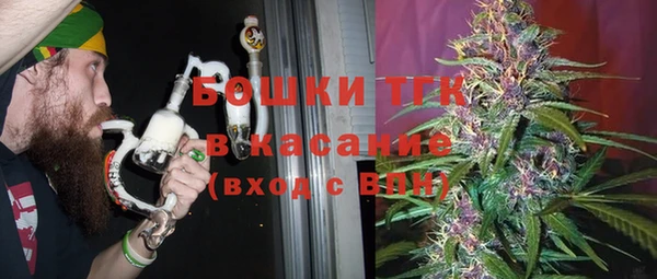 гидра Богородск