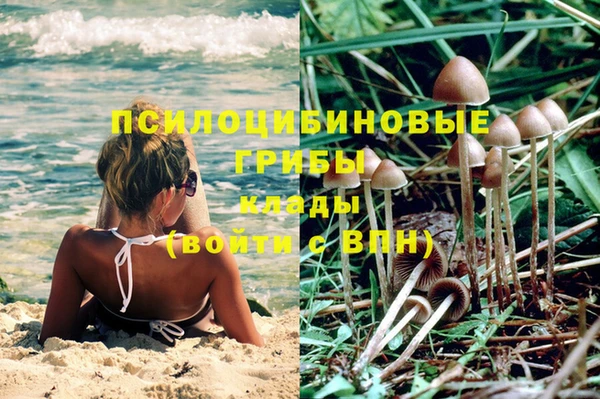 гашик Богородицк